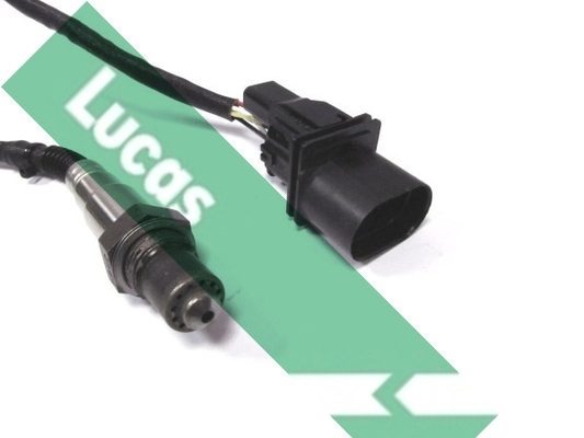 LEB774 Lucas