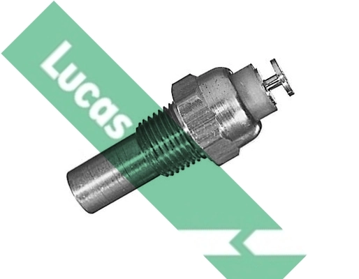 SNB117 Lucas