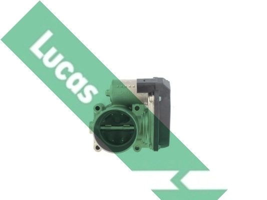 LTH453 Lucas