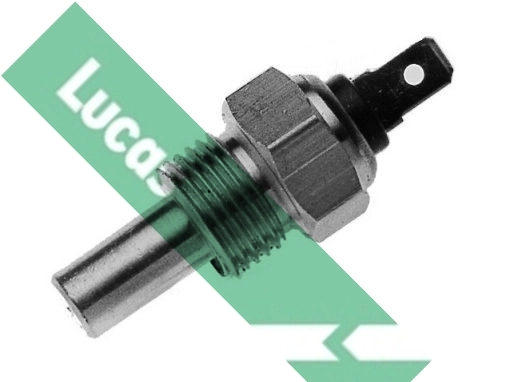 SNB126 Lucas