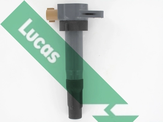 DMB5039 Lucas