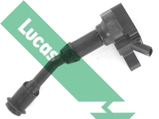 DMB5010 Lucas