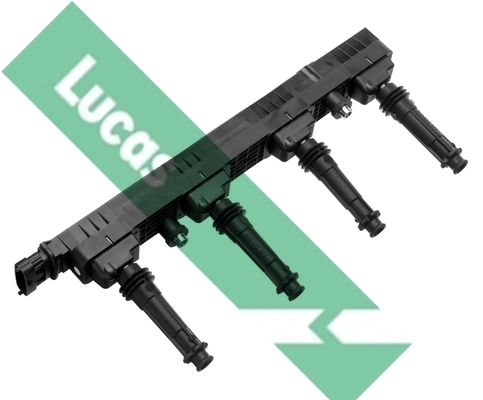 DMB923 Lucas