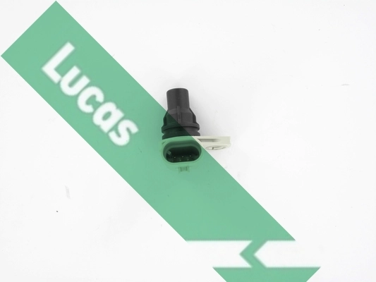 SEB1785 Lucas