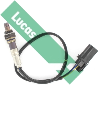 LEB4022 Lucas