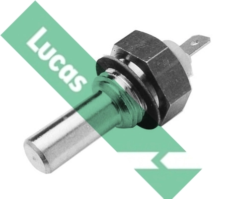 SNB149 Lucas