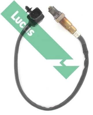 LEB5335 Lucas