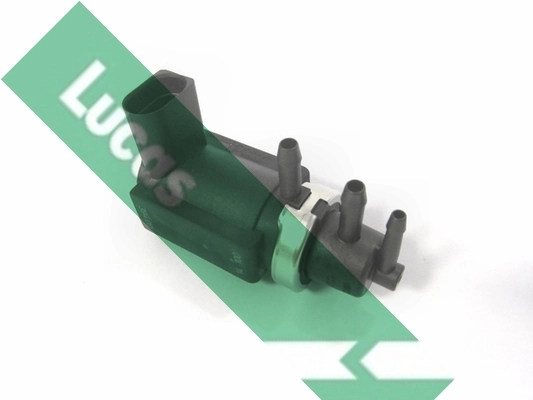 FDR421 Lucas