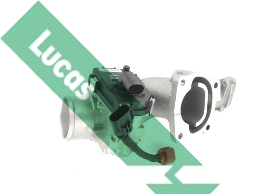 LTH471 Lucas