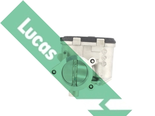 LTH524 Lucas