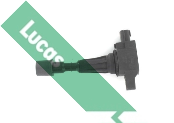 DMB2082 Lucas