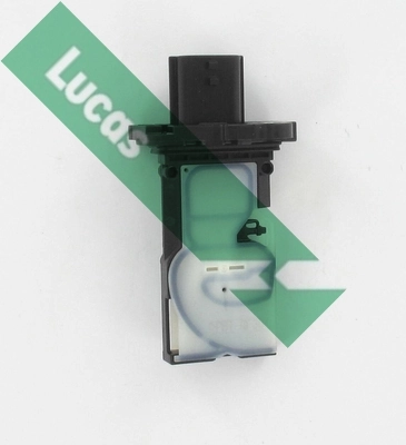 FDM5045 Lucas