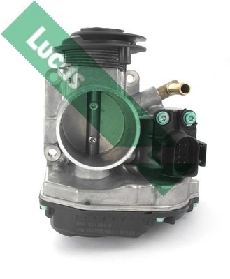 LTH407 Lucas