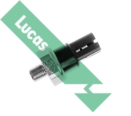 SOJ121 Lucas