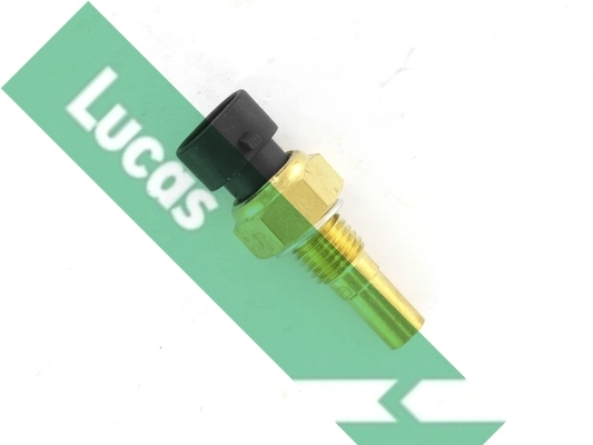 SNB837 Lucas