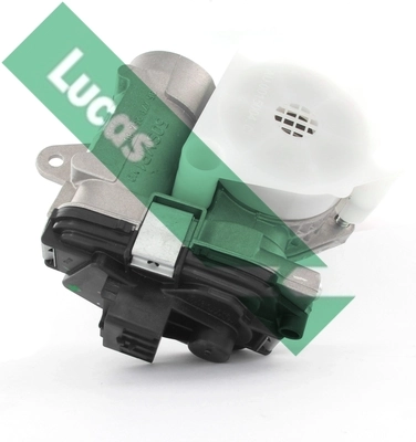LTH515 Lucas