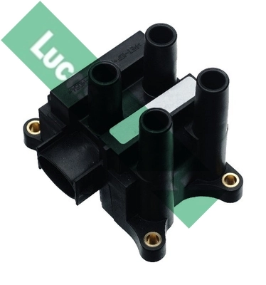 DMB805 Lucas