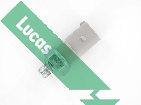 SOB5015 Lucas