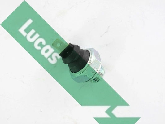SOB704 Lucas