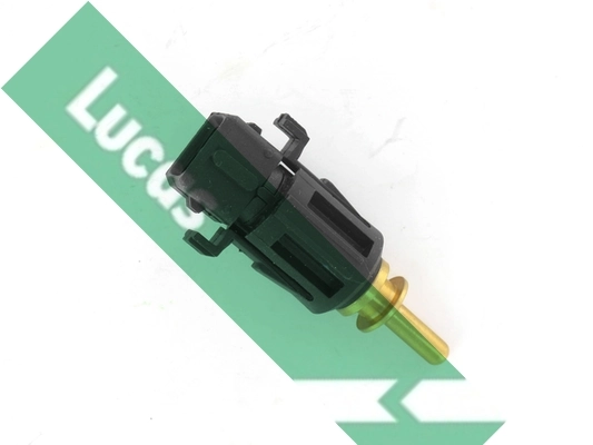 SNB972 Lucas