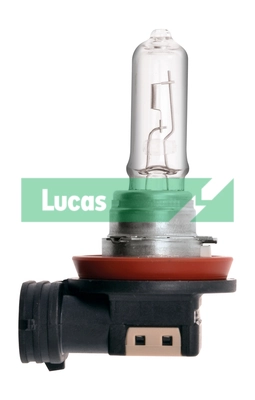 LLB709 Lucas