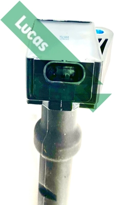 Comprar  Focus IV HN