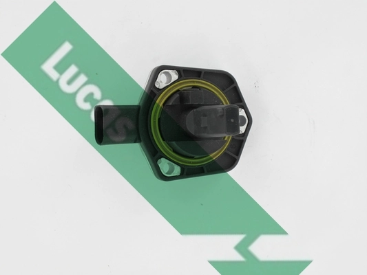 LLS304 Lucas