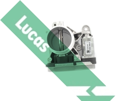 LTH523 Lucas