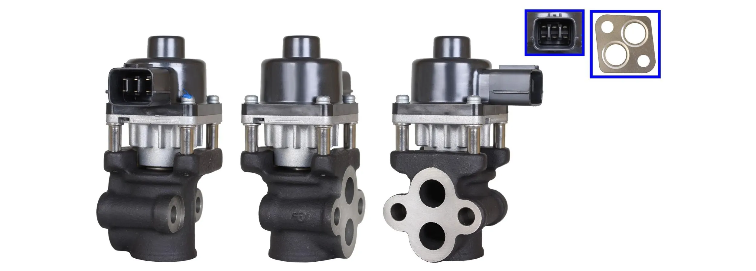 LEV2166 Lucas