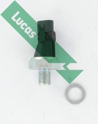 SOJ122 Lucas