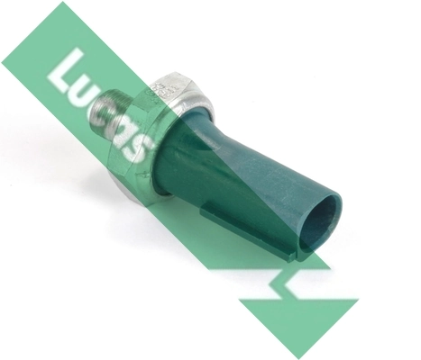 SOB562 Lucas