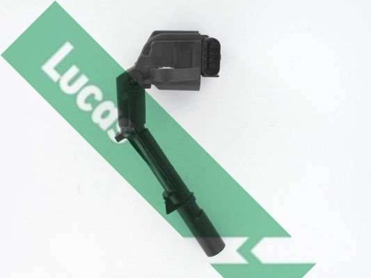 DMB5024 Lucas