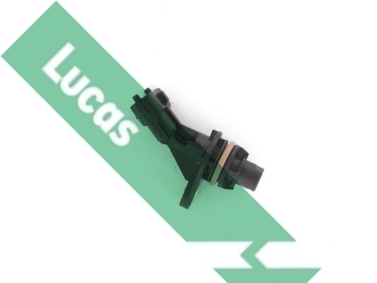 SEB2084 Lucas