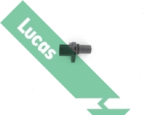 SEB2029 Lucas