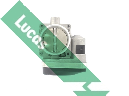 LTH495 Lucas