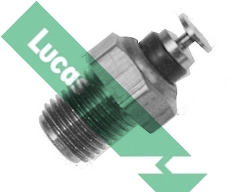 SNB116 Lucas