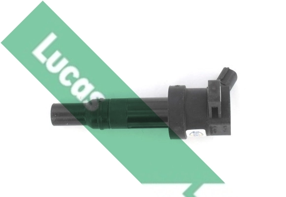 DMB2079 Lucas