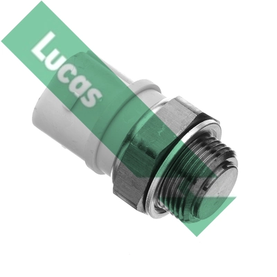 SNB1414 Lucas