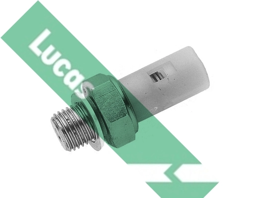 SOB710 Lucas