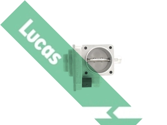 LTH446 Lucas