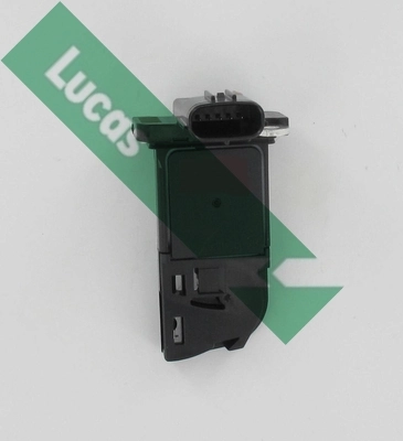 FDM5041 Lucas