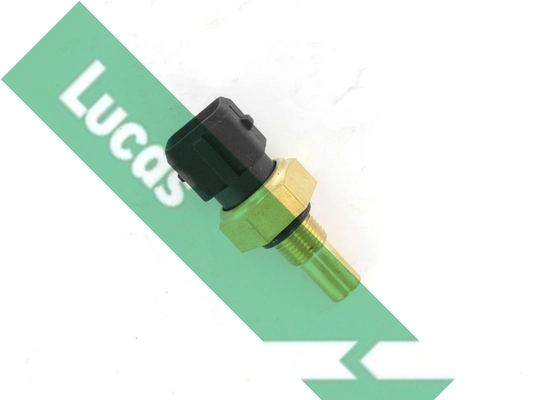 SNB832 Lucas