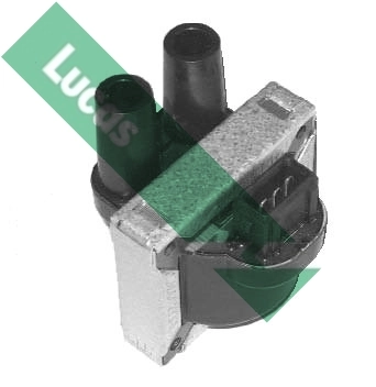 DMB801 Lucas