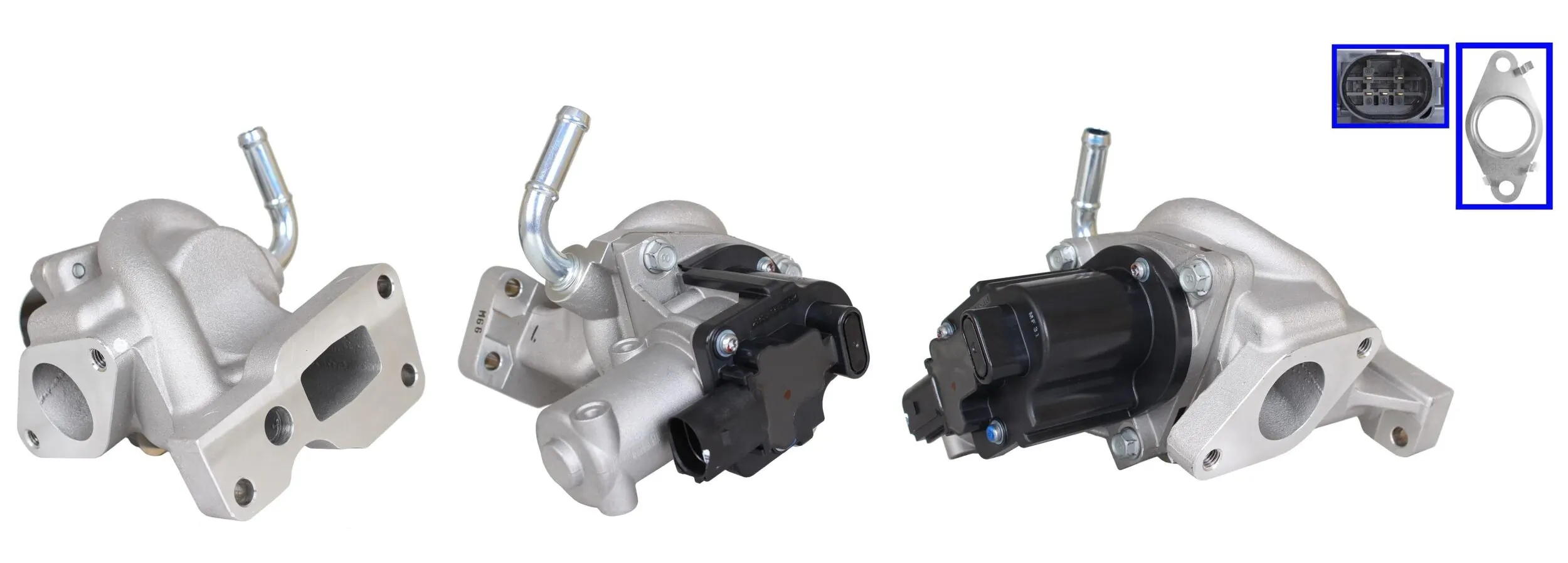 LEV2660 Lucas
