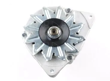 CGB13274 Ainde
