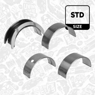 Compre 500054637 Fiat/Alfa/Lancia Folhas inseridas principais de cambota, kit, padrão (STD)