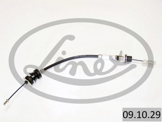 091029 Linex
