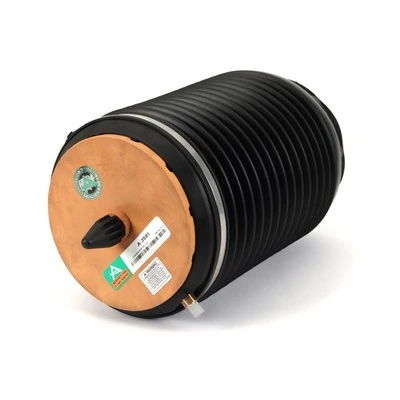 Compre A3891 Arnott Coxim pneumático (suspensão de lâminas pneumática) do eixo traseiro