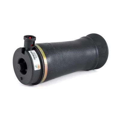 A2153 Arnott Coxim pneumático (suspensão de lâminas pneumática) do eixo traseiro