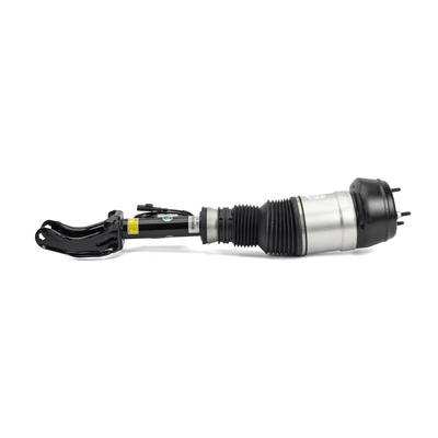 Compre AS3061 Arnott Amortecedor dianteiro esquerdo